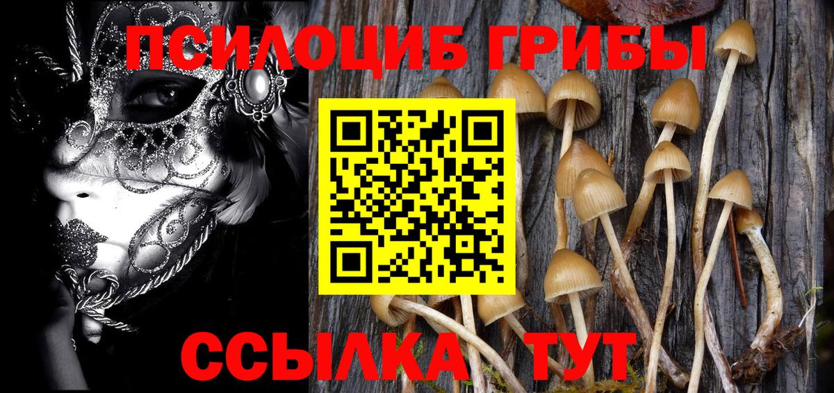 Октябрьский  Галлюциногенные грибы прущие грибы  Вход с VPN 