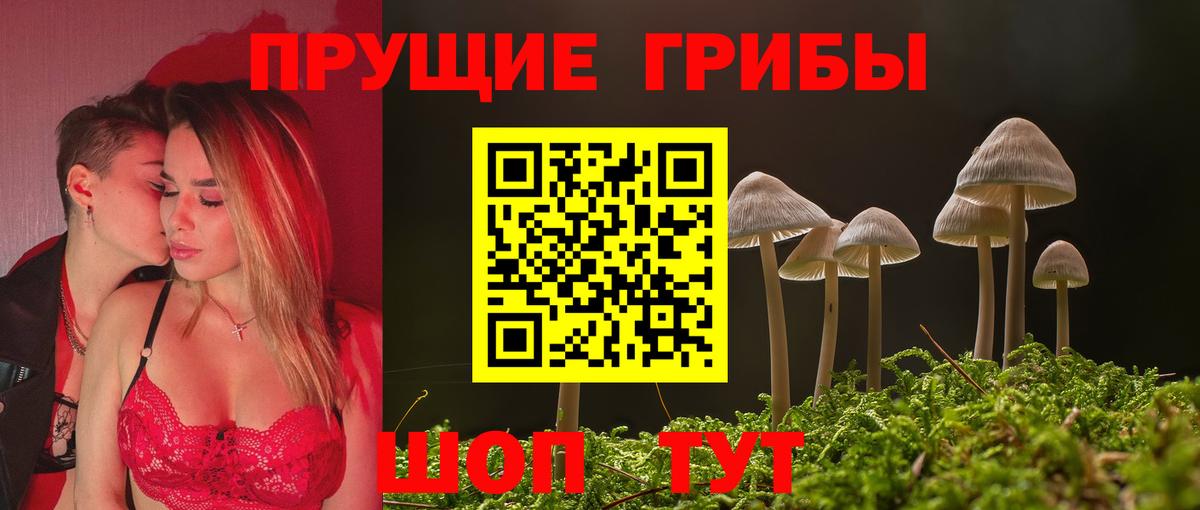 Псилоцибиновые грибы GOLDEN TEACHER Октябрьский